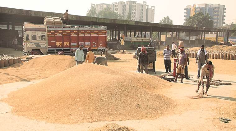 Truck unions, Punjab Truck unions, paddy harvest, Punjab govt, Consumer Affairs Ministry, indian express news  