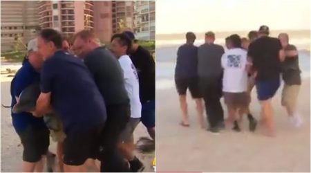 VIDEO: 2 TV crews STOP reporting to SAVE dolphins stranded in Hurricane Irma