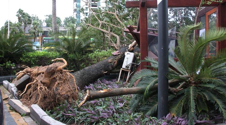 Typhoon Doksuri, Vietnam typhoon, Typhoon Doksuri landfall, Typhoon Doksuri Vietnam, World news, Indian Express