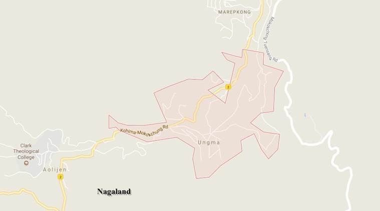 Nagaland, nagaland couple death, Nagaland old couple, Nagaland fire, Nagaland news