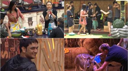 Bigg Boss 11 Day 3 highlights: Shilpa Shinde-Vikas Gupta stretch their arguments, Zubair Khan calls Arshi ‘Gareebo Ki Rakhi Sawant’