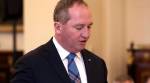 Australian court disqualifies deputy PM Barnaby Joyce for holding dual citizenship