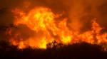 Ludhiana: Fire breaks out at yarn spinning factory, doused after 10 hours