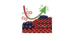 New catalytic converter that cleans exhaust fumes, reduces vehicular pollution, developed
