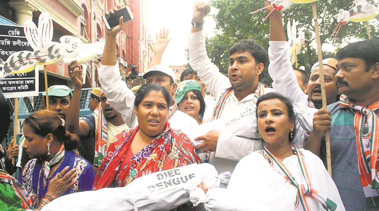 dengue in bengalm dengue outbreak in bengal, mamata banerjee, bengal congress, bengal bjp, Adhir Chowdhury, dilip gosh, dengue deaths, dengue protests, kolkata