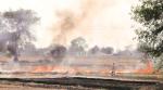 Pakistan blames ‘incursion of smoke’ from India for high concentration of smog in border areas