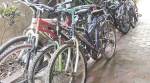 Carbon-free tourism initiative in Assam’s Majuli from this week