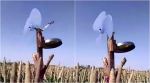 VIDEO: This ‘jugaad’ scarecrow using a steel plate is winning hearts on the Internet
