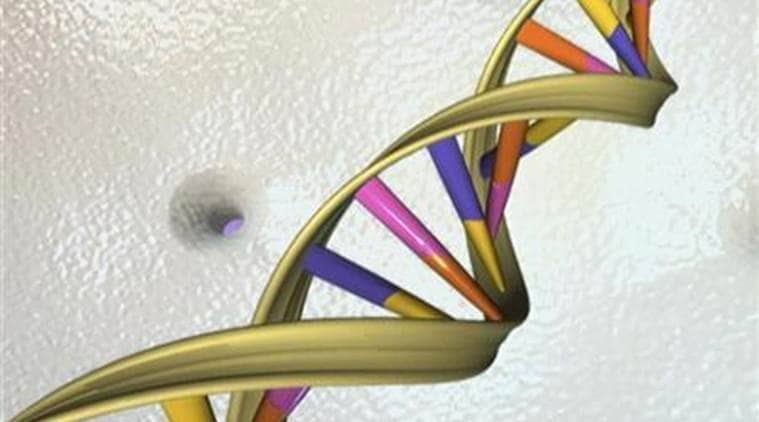 china dna, dna, Jiangsu Province, dna project china,Yangzi Group, Lan Qing, world news, indian express