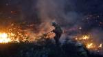 Forest fires contributed to record global tree cover loss