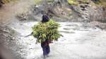 Himachal Pradesh elections: For want of other options, charas sustains this village in Kullu