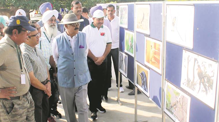 global youth festival, v p badnore, chandigarh, madan mohan goyal, nss, afghanistan,  Global Youth Peace Fest