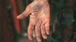 Coal Burying Goa: All along the road route, the black dust settles