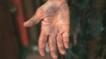 Coal Burying Goa: All along the road route, the black dust settles