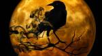 Spooky Halloween traditions and how they started; find out