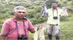 At Pingori village, a mist net, sighting some rare birds and tracking avian influenza