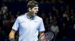 Juan Martin del Potro sets up another Basel final showdown with Roger Federer