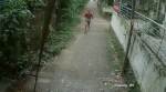 Kozhikode: CCTV footage of molestation bid goes viral; man arrested