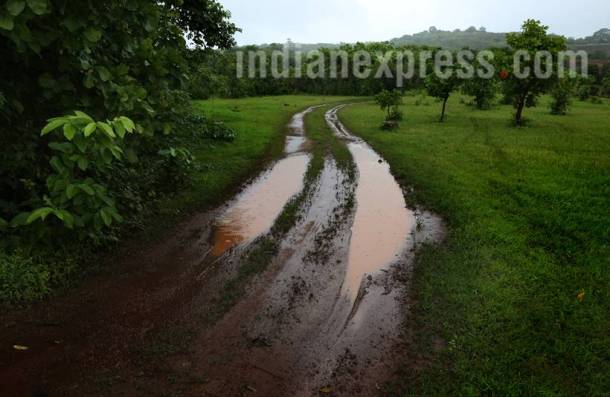Goa, goa coal industry, goa coal, goa coal corridor, coal industry goa, indian express, indian news, latest news, indian express