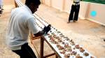 VIDEO: This is NUTS! Indian martial arts master creates WALNUT SMASHING Guinness record