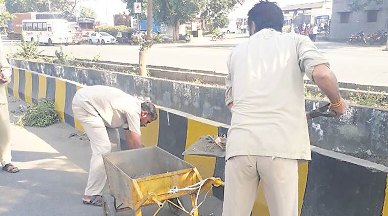 bombay hc news, civic body news, pune news, indian express news