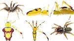 Celebrity spiders: Named after Obamas, DiCaprio, Jolie…