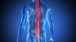 Zapping the spine helps paralysed man get back on feet after fatal accident