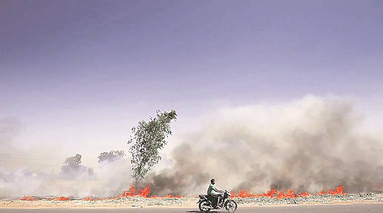 ngt, stubble burning, crop burning, air pollution, punjab government, national green tribunal 
