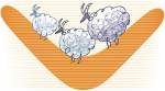 Telangana’s flagship scheme a tale of sheep that kept coming back