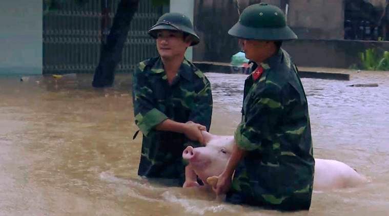 Vietnam floods, floods in Vietnam news, flood victims in Vietnam, Latest news, India news, National news, latest news