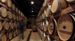 World wine output set to fall to lowest since 1961: OIV