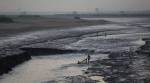 Ensure no animal waste, blood seeps into Yamuna: NGT to Delhi
