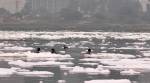 Yamuna clean-up project on hold over scam allegations: Delhi Jal Board