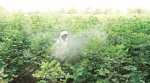 ‘Going cashless in farm sector is like trying to drive a racing car on a severely potholed road’