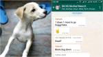 ‘Just a dog, not human’: Heartless student from TN killed 2 puppies by throwing them off terrace