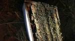 One million bees killed after Northern California truck crash