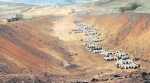 Suggestions for New National Mineral Policy: For a ‘lucrative’ sector, ease taxes, use tech to curb corruption