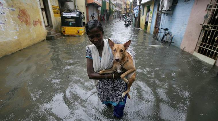 chennai rain photos, chennain monsoon 2017 images, monsoon in chennai, rains chennai 2017 pictures, chennai weather images, chennai rains pics, chennai rains latest pics, indian express