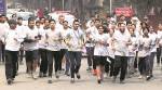 District Cong Committee holds car rally