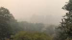 Delhi pollution LIVE updates: NGT asks govt to seize 10-year-old diesel vehicles and 15-year-old petrol vehicles