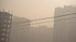 Delhi pollution: NGT refuses exemptions from Odd-Even; Kejriwal govt withdraws petition