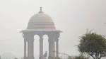 Delhi air pollution LIVE updates: NGT asks government to pull out 10-yr-old diesel vehicles off the road