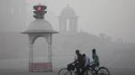 Delhi pollution: Curbing pollution ‘joint responsibility’, Right to Life being denied, says NGT