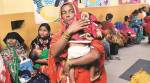 Dengue: PIL in Calcutta HC seeks compensation, medical commission to probe ‘exact’ figures