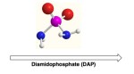 Chemical compound that helped form first biomolecules discovered