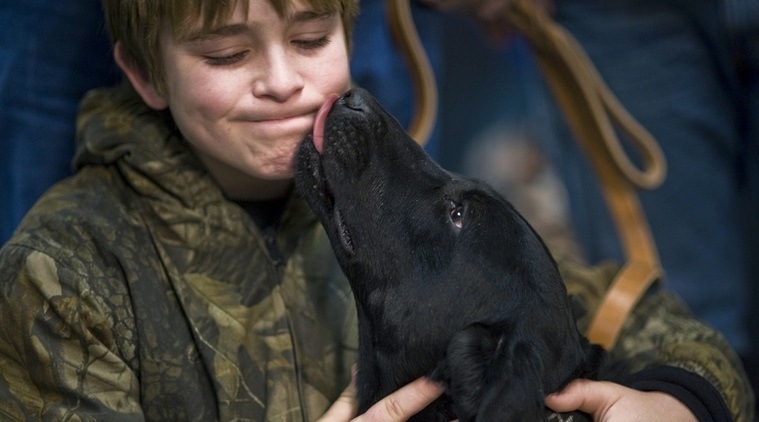 pet dogs, pet dogs stress busters, pet dogs and stress busters, pets for stress free lives, indian express, indian express news