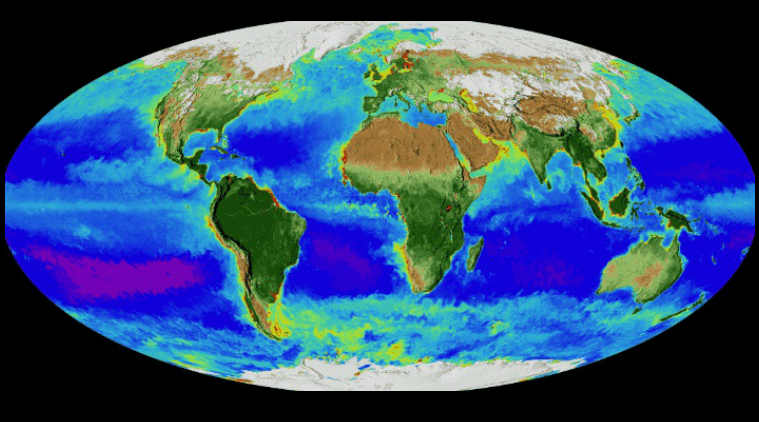 oxygen-increase-from-400-million-years-ago-led-to-greater-biodiversity