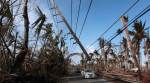Puerto Rico population to drop 14% after Hurricane Maria wreckage