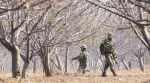 Jammu and Kashmir: Three militants killed in Anantnag encounter, says Army