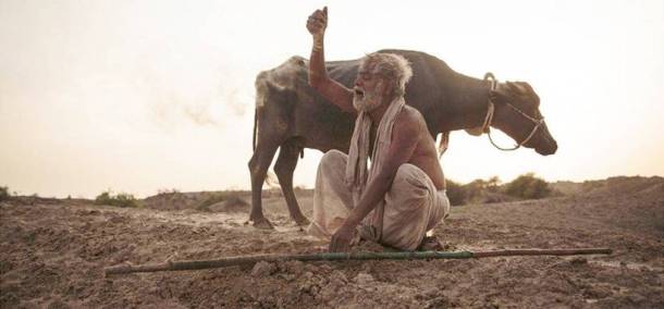 Kadvi Hawa stars Sanjai Mishra and Ranvir Shorey.